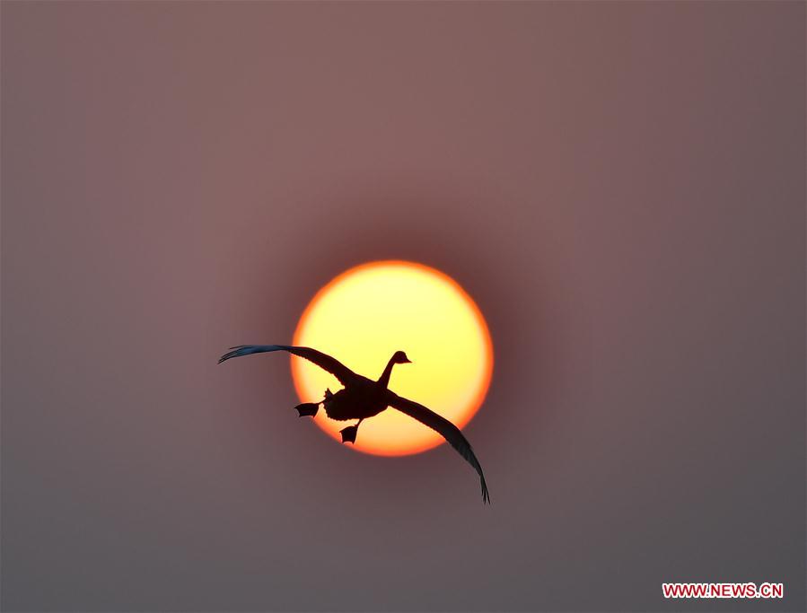 XINHUA-PICTURES OF THE YEAR 2017-CHINA