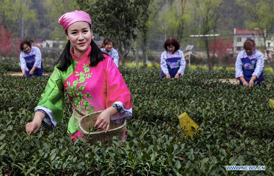 CHINA-SHAANXI-PINGLI-TEA GARDEN-FOLK DRAMA SHOW (CN)