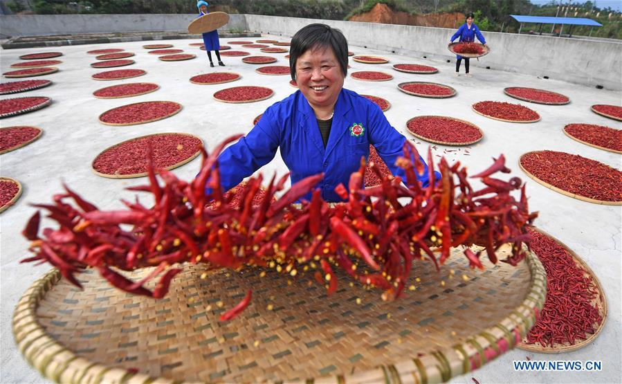 CHINA-JIANGXI-FENGXIN-RURAL ENTREPRENEURSHIP STORY