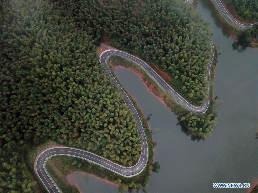 #CHINA-GUIZHOU-CHISHUI-FOREST PARK (CN*)