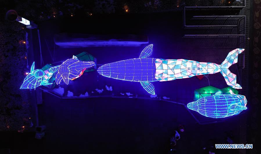 CHINA-LANTERN FESTIVAL-CELEBRATION(CN)