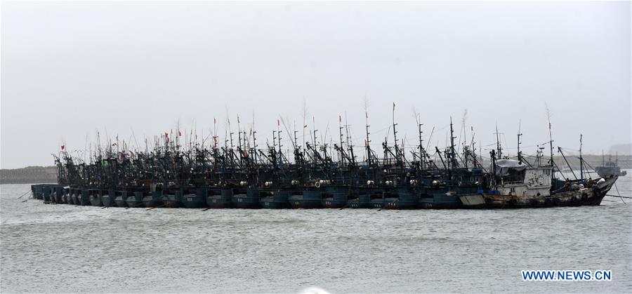 CHINA-SHANDONG-RIZHAO-TYPHOON-LEKIMA (CN)