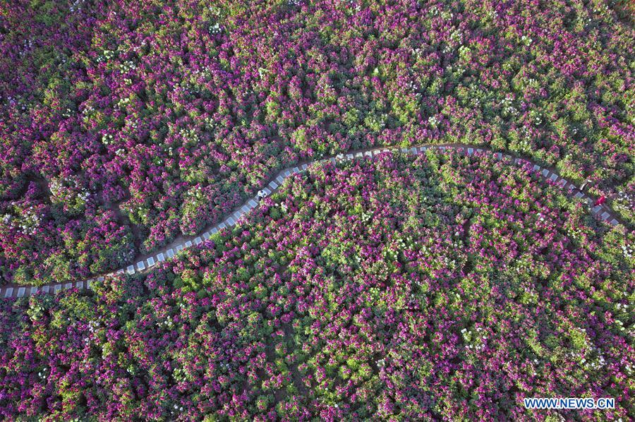 CHINA-GANSU-BAIYIN-TOURISM (CN)