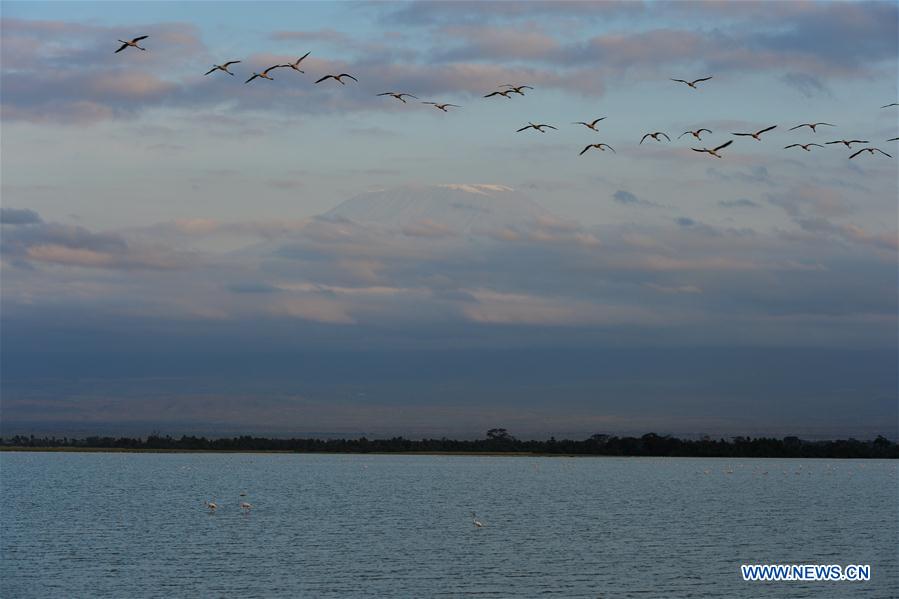 KENYA-ECOLOGY-CHINA-BEIJING-HORTICULTURAL EXPO-KENYA DAY