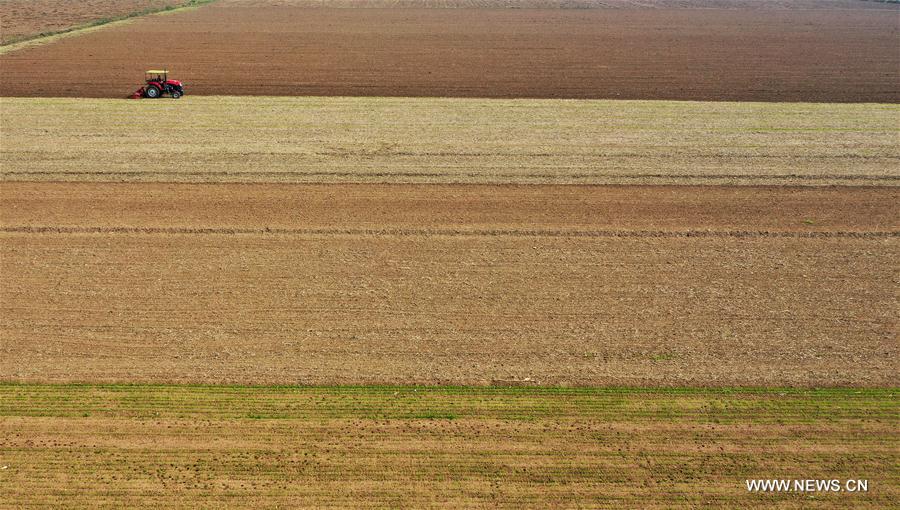 CHINA-HENAN-BAOFENG-FARMING (CN)