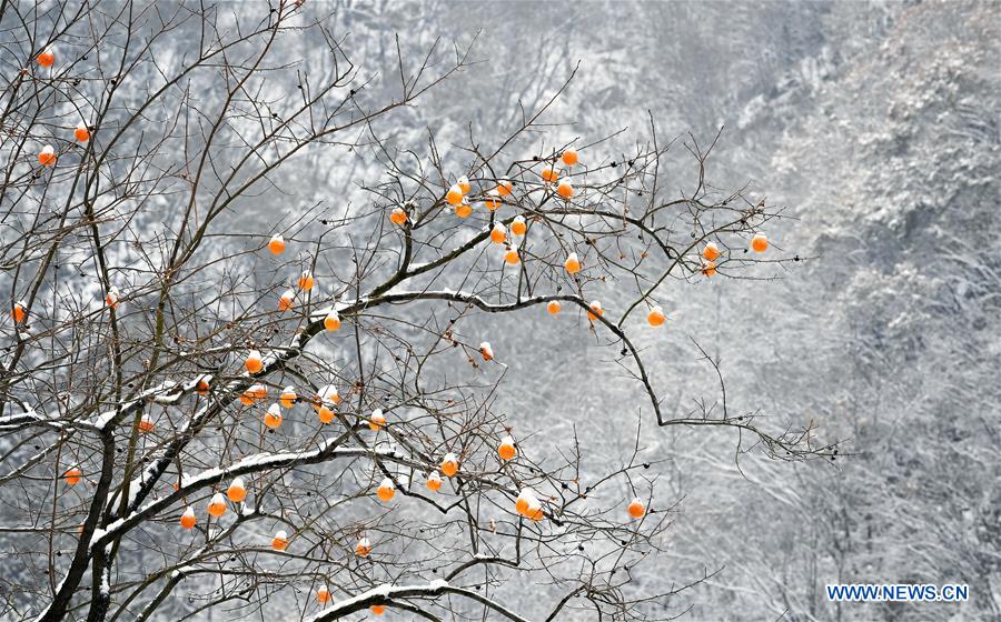 CHINA-SHAANXI-QINLING MOUNTAINS-SNOW-SCENERY (CN)