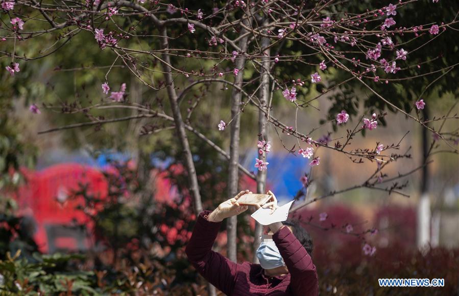 CHINA-WUHAN-COVID-19-SPRING-SCENERY (CN)