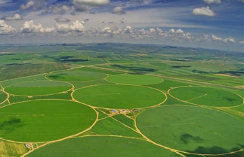 In pics: farmlands in Zhangjiakou, north China's Hebei