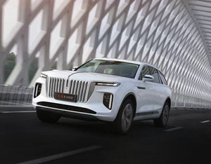 各美其美,美美與共——2020中國企業家博鰲論壇品牌品鑒交流會側記