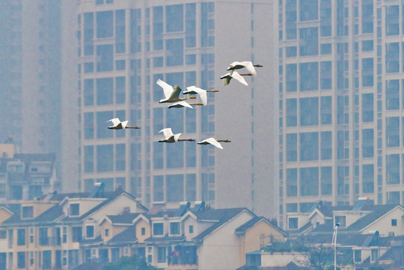 江西經濟轉型求變：注入生態、創新、智能多重因子