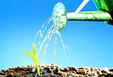 【2月10日】民辦非營利事業(yè)單位是否可享受稅收優(yōu)惠?