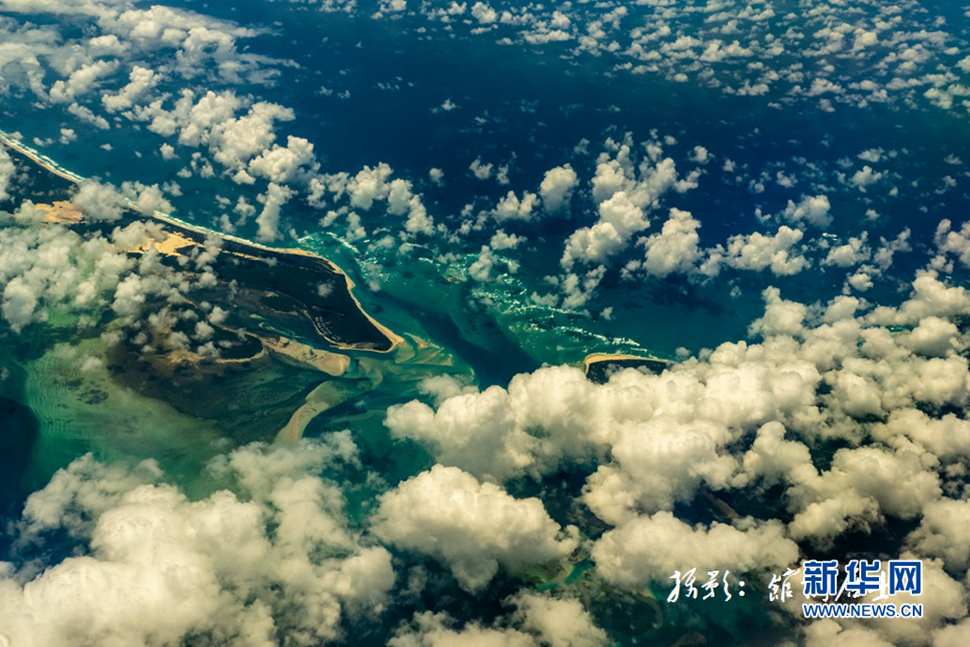 飛躍太平洋，跨越秋與春