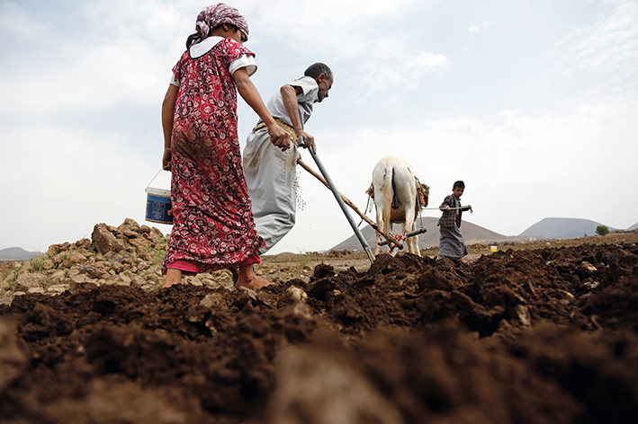 堅(jiān)守中的希望：戰(zhàn)亂中也門(mén)人的日常