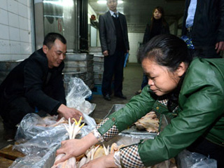 江西宰殺、冷凍積壓禽肉 緩解H7N9禽流感影響