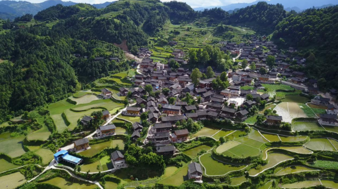 從貧困村到示范村，結對幫扶的“龍塘樣本”是如何煉成的