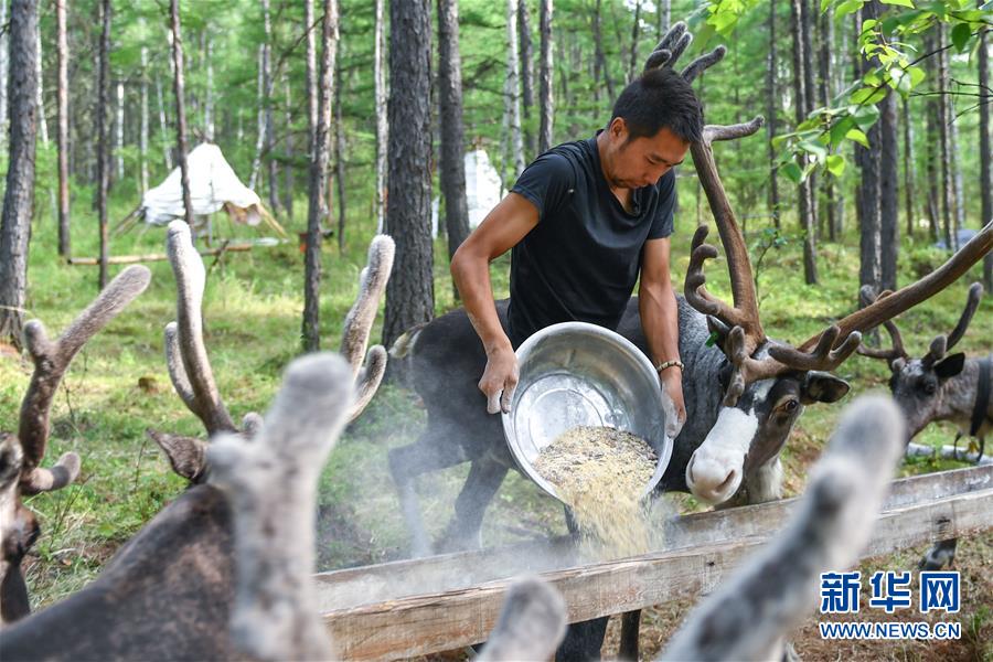 【聚焦脫貧攻堅】這組數字，來之不易