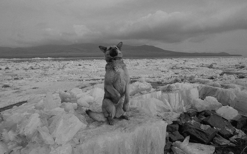 線云強作品:東方第一哨，最早迎接太陽的士兵