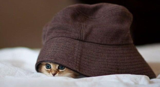 老外搞怪！facebook插圖欣賞(組圖)