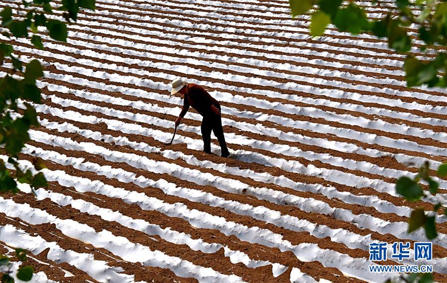 #（經濟）（4）立夏將至農事忙