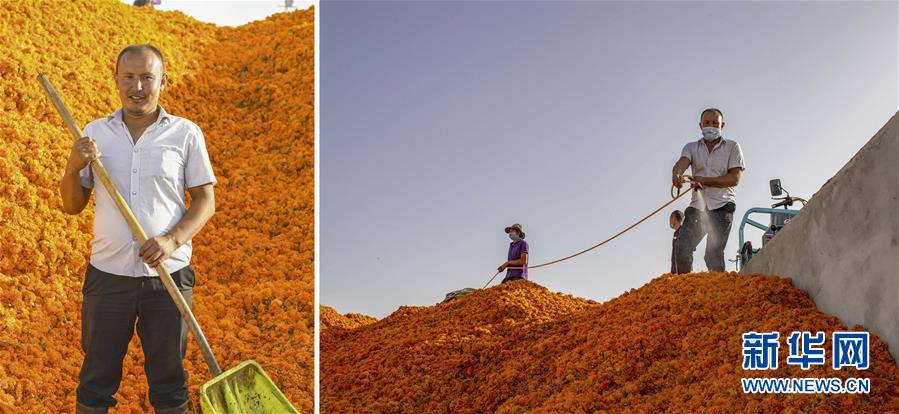 （脫貧攻堅·圖片故事）（6）脫貧靠雙手——新疆和田地區未摘帽縣就業見聞