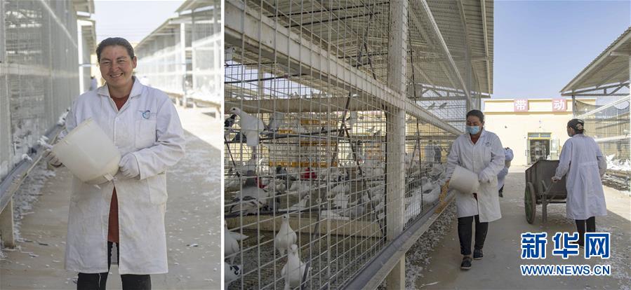 （脫貧攻堅·圖片故事）（15）脫貧靠雙手——新疆和田地區(qū)未摘帽縣就業(yè)見聞