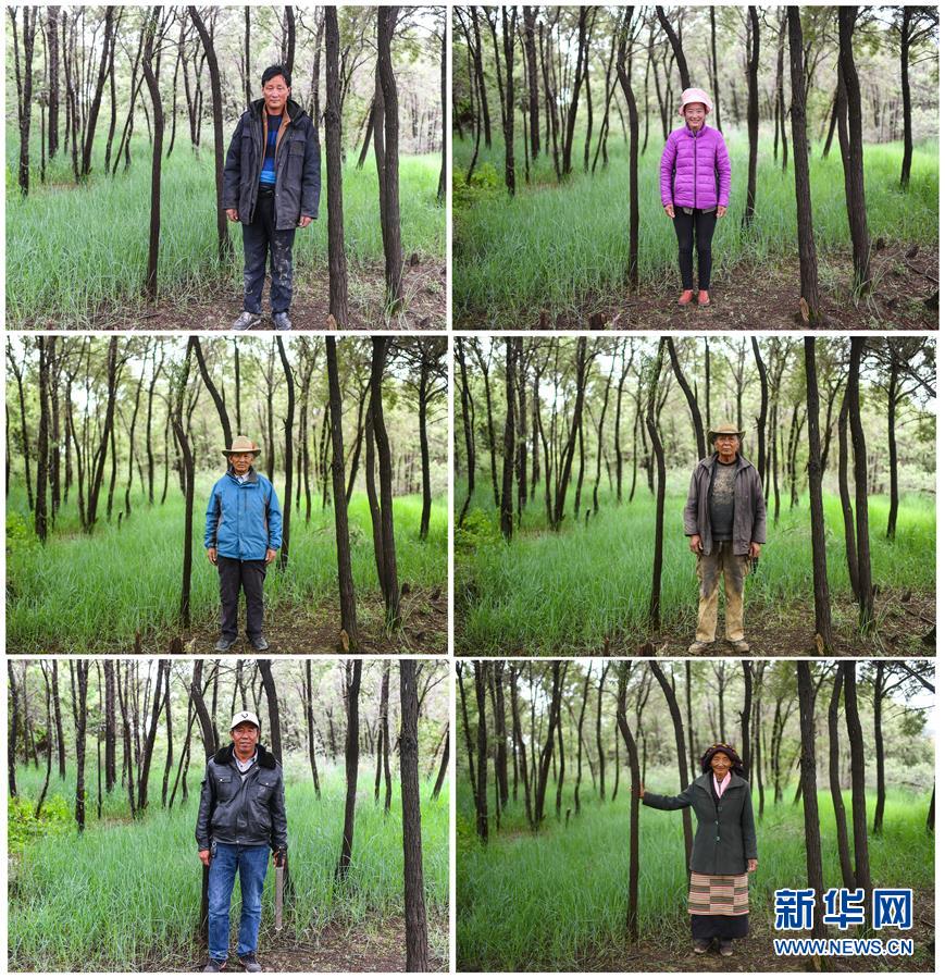 (十九大·讀報(bào)告 話民生)(9)加快生態(tài)文明體制改革,建設(shè)美麗中國