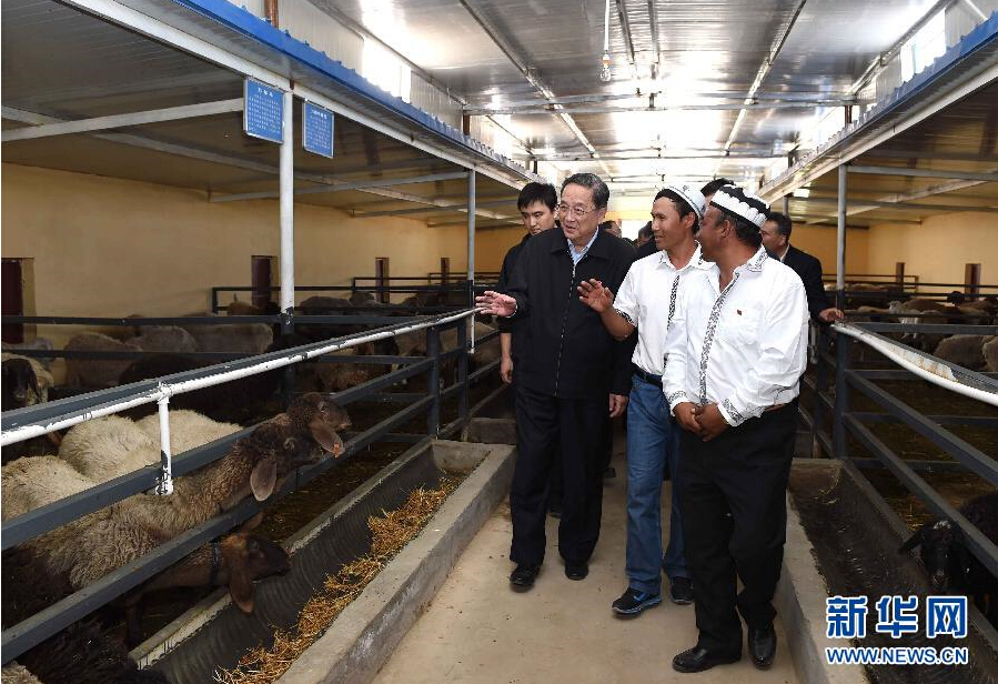 9月27日，中共中央政治局常委、全國(guó)政協(xié)主席、中央代表團(tuán)團(tuán)長(zhǎng)俞正聲率中央代表團(tuán)部分成員赴喀什地區(qū)莎車(chē)縣看望各族干部群眾。這是俞正聲在新疆生產(chǎn)建設(shè)兵團(tuán)第三師莎車(chē)農(nóng)場(chǎng)實(shí)地察看萬(wàn)只羊養(yǎng)殖基地。新華社記者 饒愛(ài)民 攝