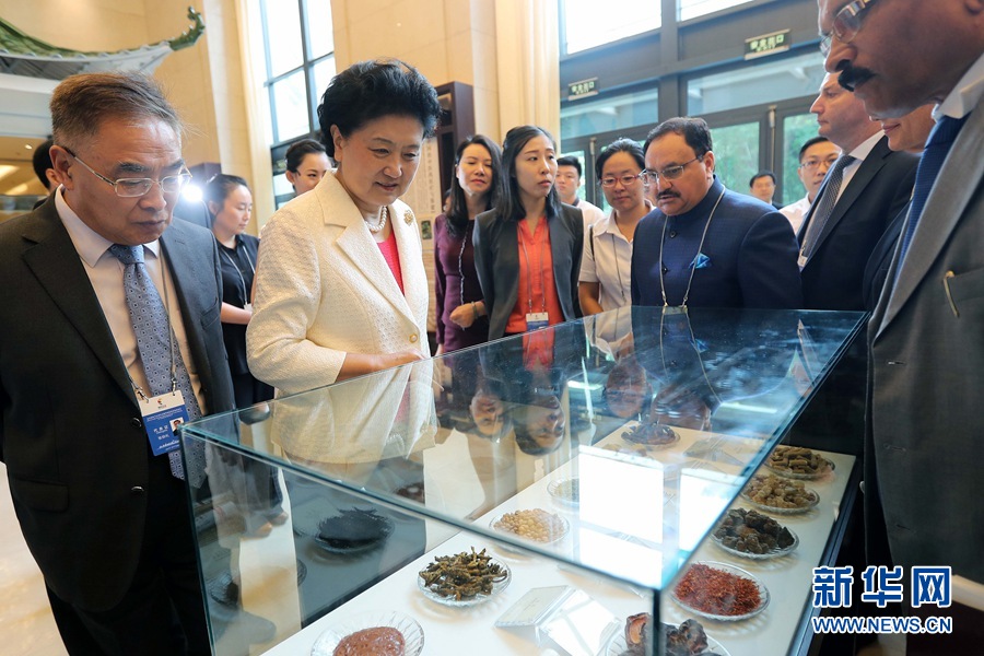 7月6日,金磚國家衛(wèi)生部長會暨傳統(tǒng)醫(yī)藥高級別會議在天津開幕。這是國務(wù)院副總理劉延?xùn)|與外賓一起參觀傳統(tǒng)醫(yī)藥文化展。 新華社記者 張玉薇 攝 7月6日,金磚國家衛(wèi)生部長會暨傳統(tǒng)醫(yī)藥高級別會議在天津開幕。這是國務(wù)院副總理劉延?xùn)|與外賓一起參觀傳統(tǒng)醫(yī)藥文化展。 新華社記者 張玉薇 攝