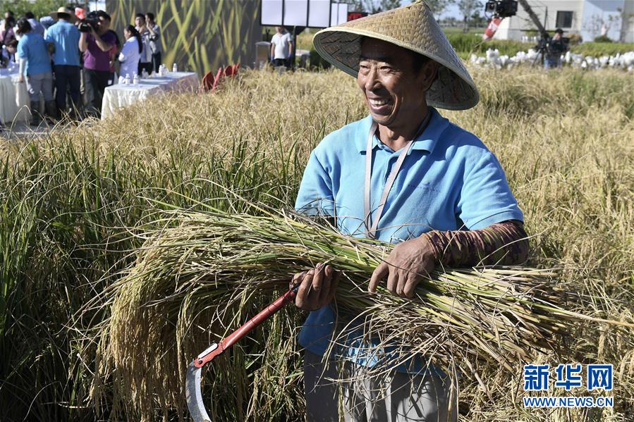 (新華全媒頭條·圖文互動)(2)歷史性飛躍的偉大實踐——中國共產黨引領中國特色社會主義開辟發展新境界述評