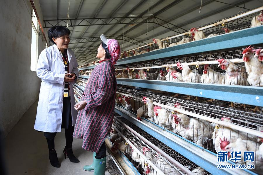 (十九大代表回基層·圖文互動)(1)擺脫貧困后,還應有更高的精神追求——十九大代表余留芬的“宣講時光”