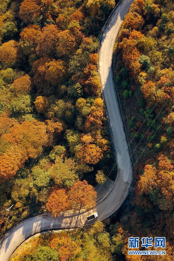(新華全媒頭條·新時代新氣象新作為·圖文互動)(9)抬腳踏上水泥路,出門坐上公交車——我國竭力破除農(nóng)村交通“最后一公里”瓶頸