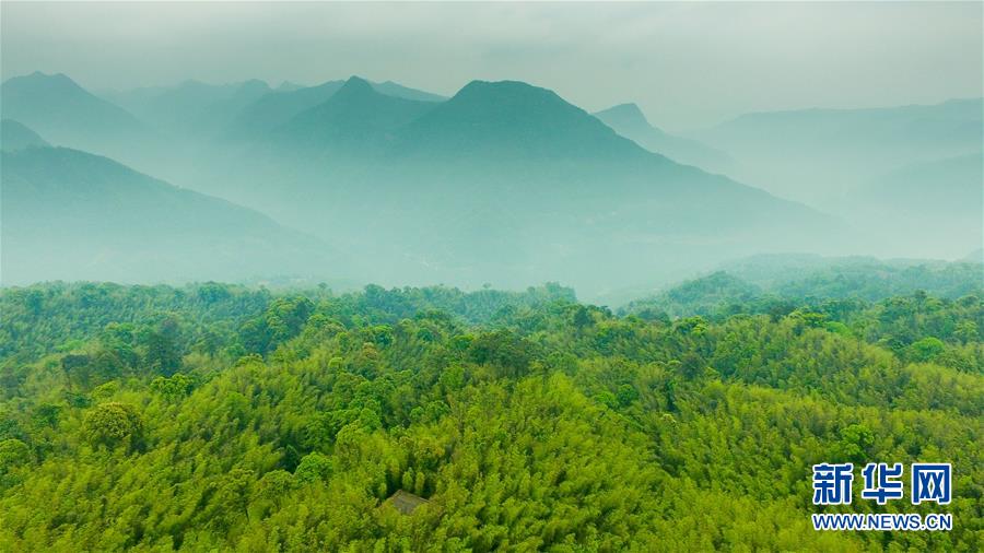 (新華全媒頭條·圖文互動)(9)赤水:別了,貧困!
