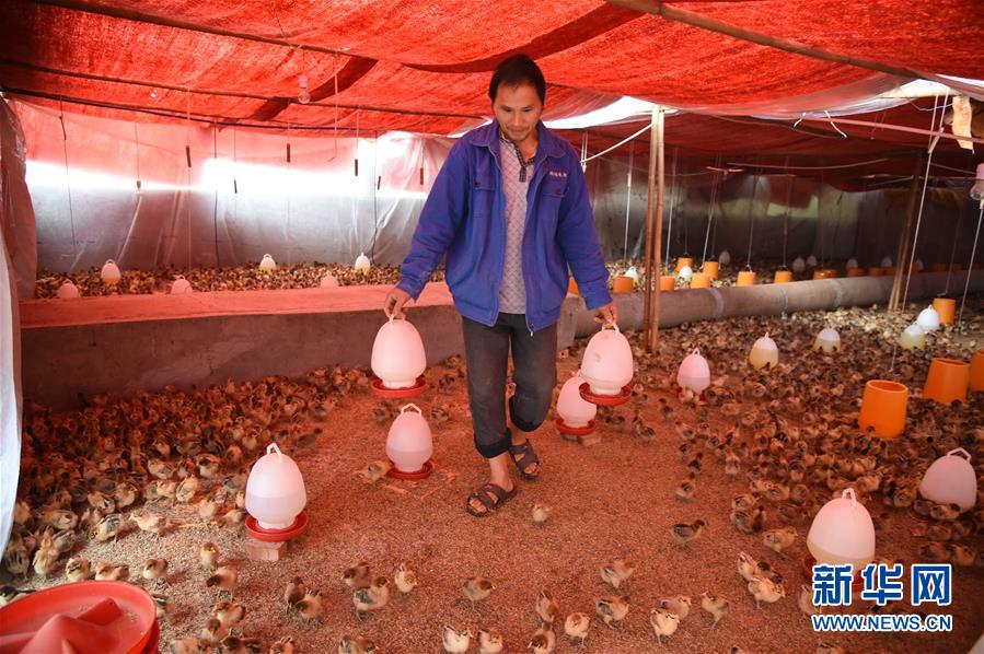 (新華全媒頭條·圖文互動)(8)赤水:別了,貧困!