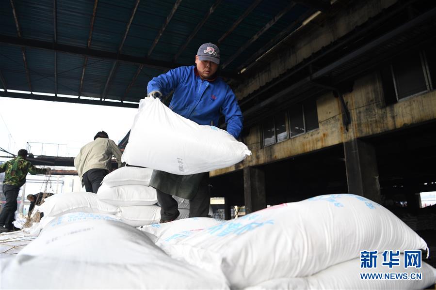 （新春走基層）（8）安徽：農資“春運”助春耕