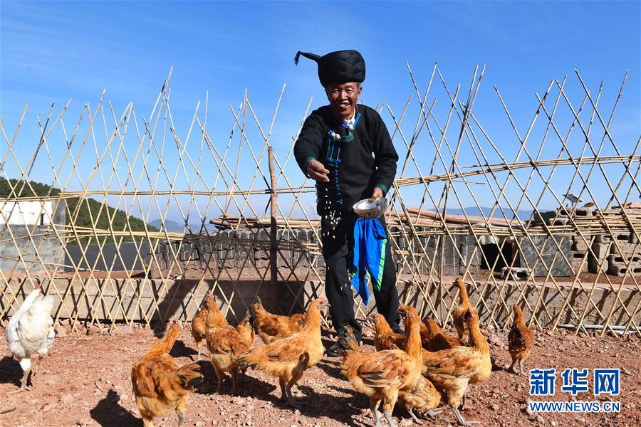 (新華全媒頭條·圖文互動)(2)行程萬里 人民至上——習近平總書記春節考察足跡回訪