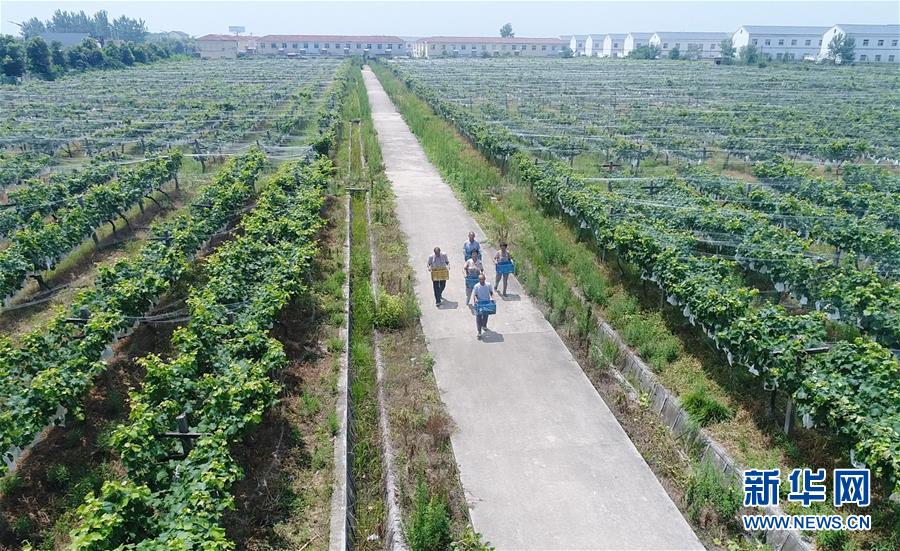 （新華全媒頭條·紀(jì)念改革開(kāi)放40年特稿·圖文互動(dòng)）（5）向著新航程揚(yáng)帆奮進(jìn)！——從小崗精神看中國(guó)改革開(kāi)放40年