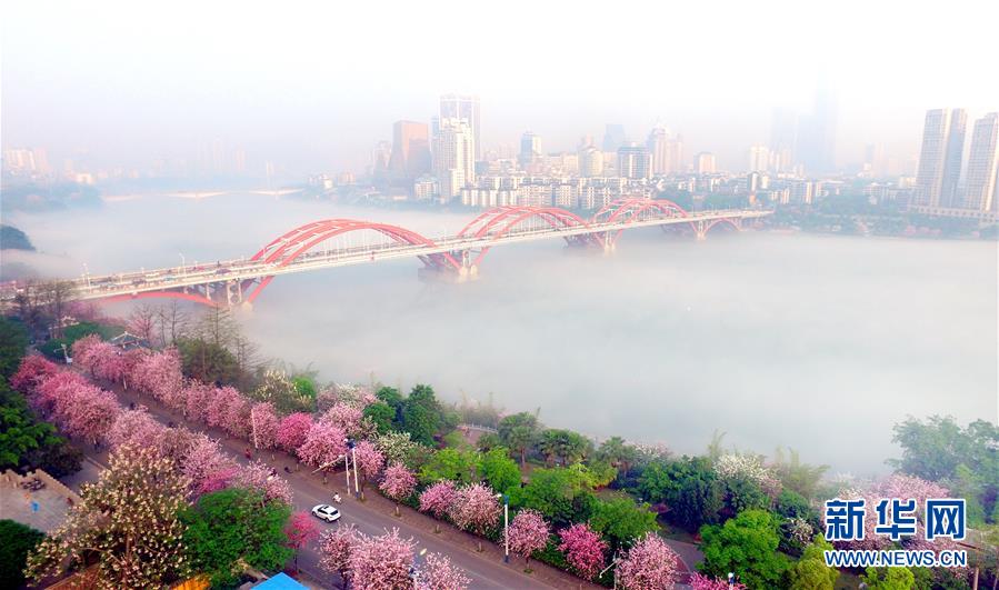 （鏡觀中國·新華網）（7）新華社國內照片一周精選