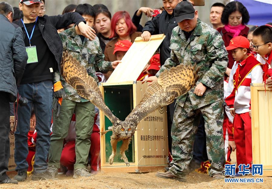 （鏡觀中國·新華網(wǎng)）（14）新華社國內(nèi)照片一周精選