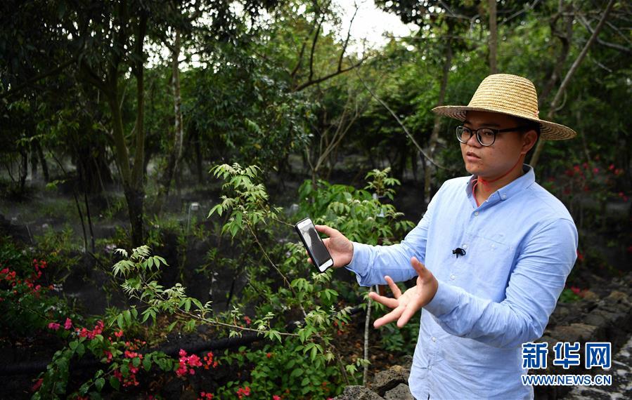 (新媒體專線)(7)立足獨特優勢 勇立改革潮頭——習近平總書記在海南考察回訪記