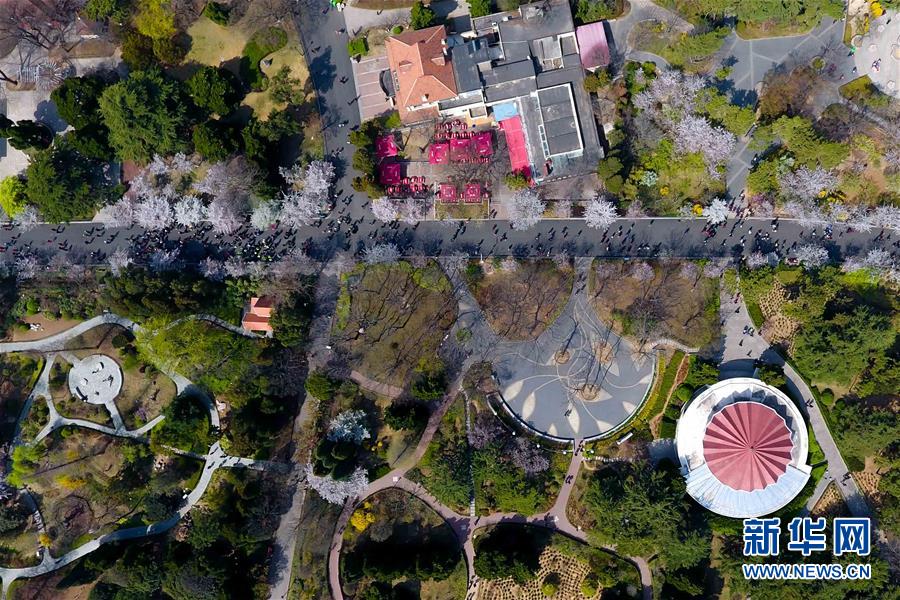 （春季美麗生態）（5）青島賞花會啟幕