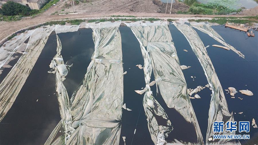 （新華視點·圖文互動）（4）中央督察兩年有的絲毫未改，有的不減反增——江蘇泰興數(shù)萬噸化工廢料和污泥堆放長江邊調(diào)查