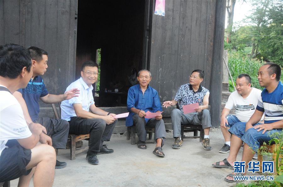 (新華全媒頭條·圖文互動)(2)安吉白茶奔向扶貧一線——浙江黃杜村農民黨員先富幫后富向貧困地區捐贈“扶貧苗”