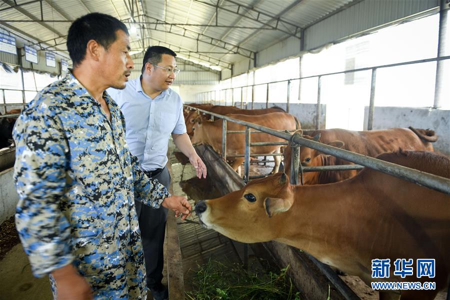 (脫貧攻堅·圖文互動)(2)“不畏難、不畏煩、不畏苦”——記“80后”扶貧干部李朝陽