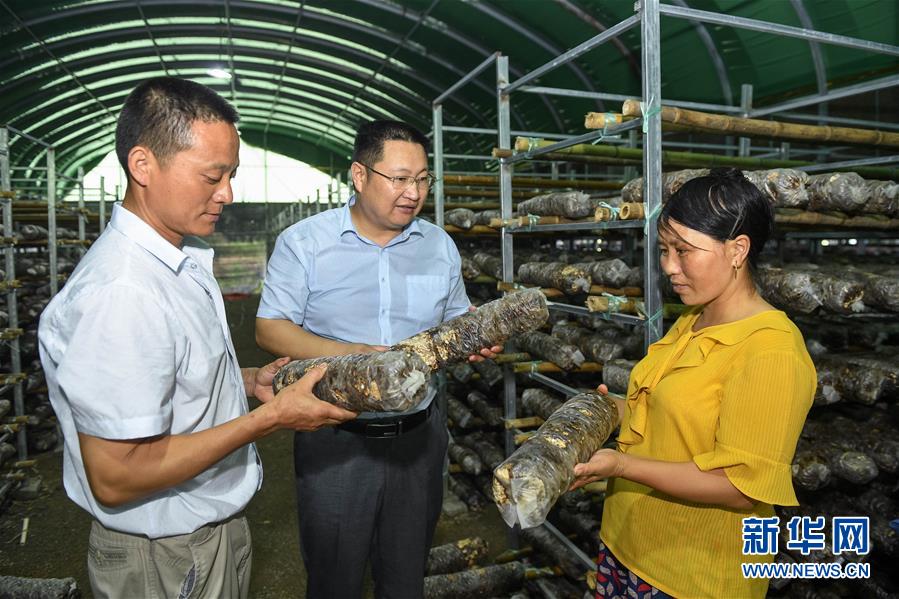 (脫貧攻堅·圖文互動)(3)“不畏難、不畏煩、不畏苦”——記“80后”扶貧干部李朝陽