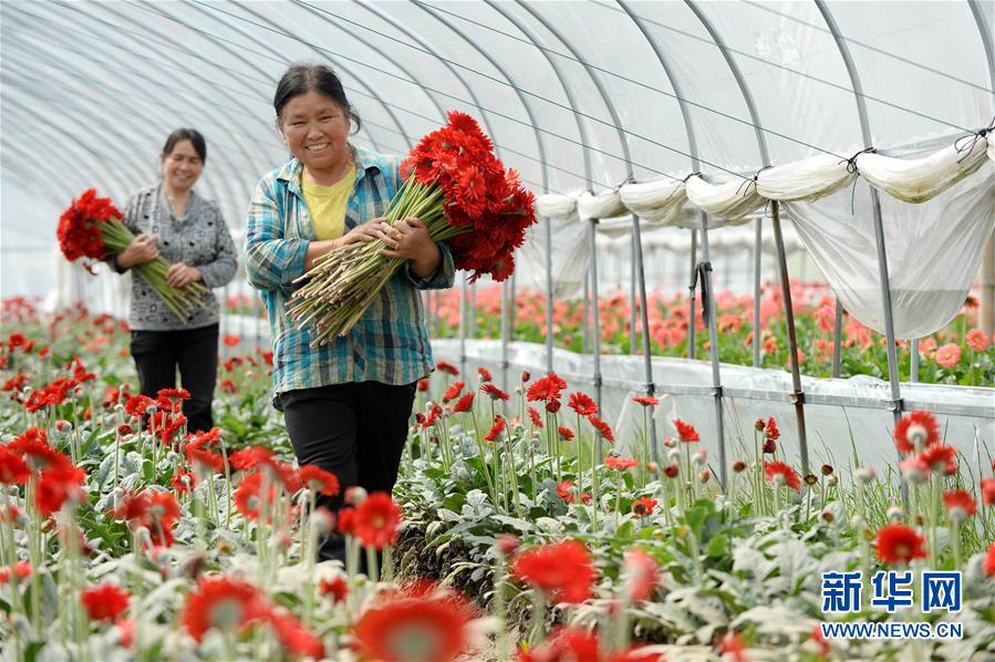 (大江奔流——來自長江經濟帶的報道·新華全媒頭條·圖文互動)(3)擘畫新時代中國發展新坐標——深入推動長江經濟帶發展述評