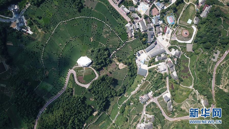 （大江奔流——來自長江經濟帶的報道·圖文互動）（1）在這里，做一個幸福的農民