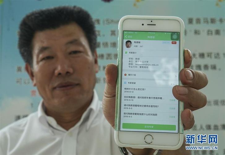 (豐收的味道·圖文互動)(3)露濃壓架葡萄熟——江蘇灌南縣葡萄產業“變身記”