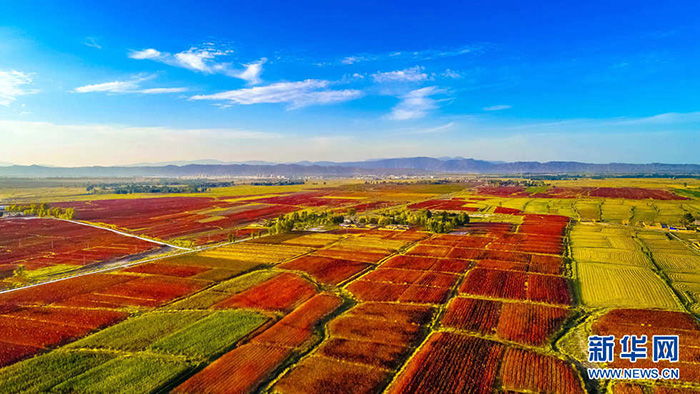 秋收的中國,你想象不到的美!但更美的是……