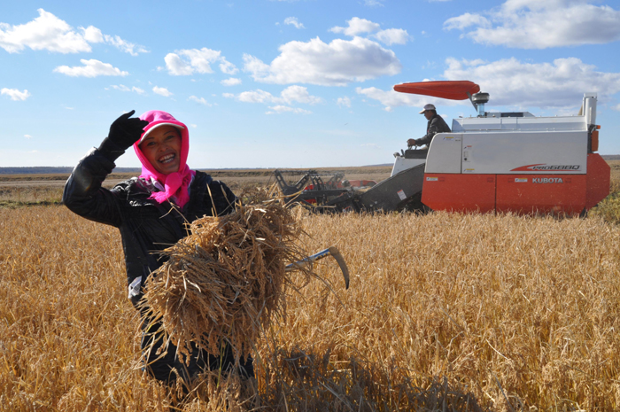 秋收的中國,你想象不到的美!但更美的是……