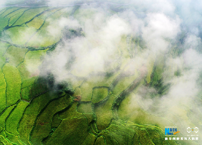秋收的中國,你想象不到的美!但更美的是……